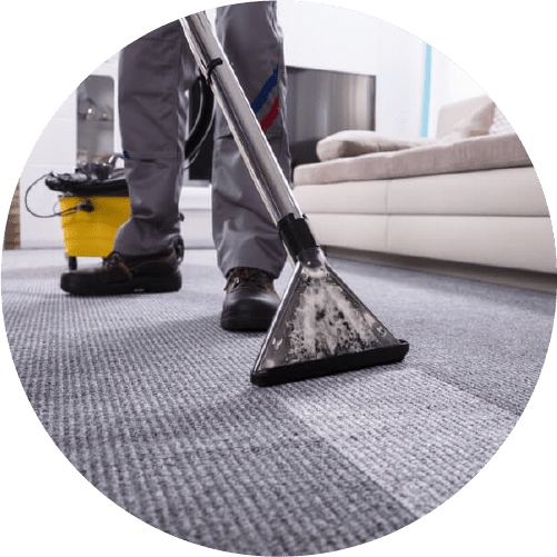 Carpet Cleaning